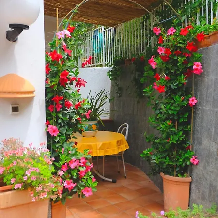 فندق مبيت وإفطار Anna Wunderbar 3*