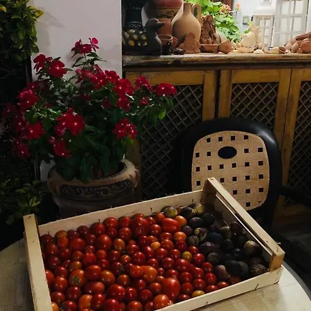 Bed & Breakfast Anna Wunderbar Casamicciola Terme