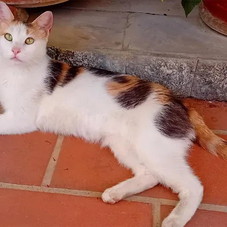 Anna Wunderbar Bed & Breakfast