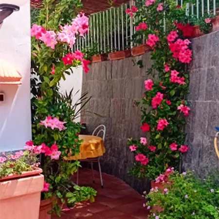 Bed & Breakfast Anna Wunderbar 3*
