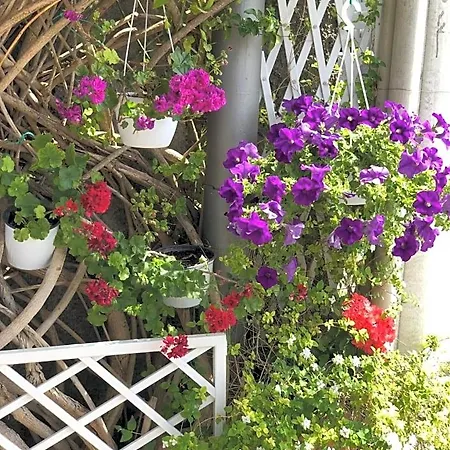 Anna Wunderbar Bed & Breakfast
