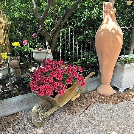 Anna Wunderbar 4* Casamicciola Terme
