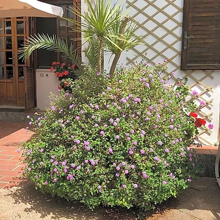Bed & Breakfast Anna Wunderbar Casamicciola Terme