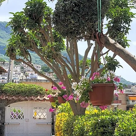 Anna Wunderbar Casamicciola Terme
