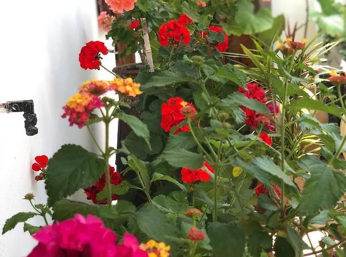 Bed & Breakfast Anna Wunderbar 4*