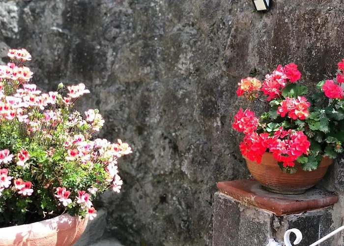 Bed & Breakfast Anna Wunderbar 4*