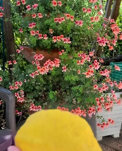 Bed & Breakfast Anna Wunderbar 4*