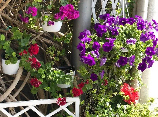 Anna Wunderbar 4* Casamicciola Terme