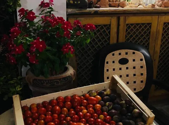 فندق مبيت وإفطار Anna Wunderbar كازاميتْشيولا تيرمي