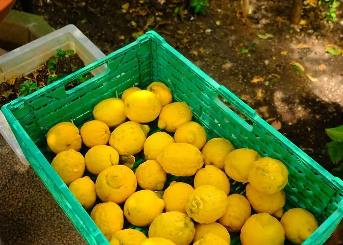 Bed & Breakfast Anna Wunderbar Casamicciola Terme