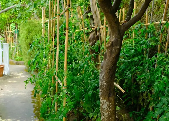 Anna Wunderbar Bed & Breakfast 4*