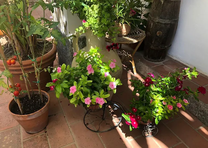 Anna Wunderbar Bed & Breakfast 4*