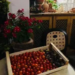 Oda ve Kahvaltı Anna Wunderbar Casamicciola Terme