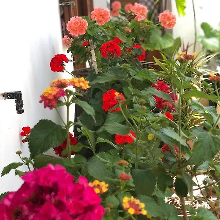 Bed & Breakfast Anna Wunderbar 3*