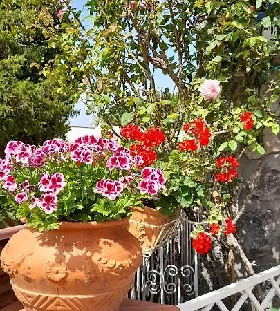 Anna Wunderbar Bed & Breakfast 3*