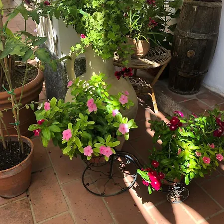 Anna Wunderbar Oda ve Kahvaltı 4*