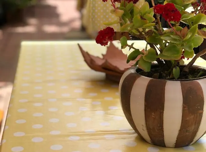 Anna Wunderbar Oda ve Kahvaltı Casamicciola Terme