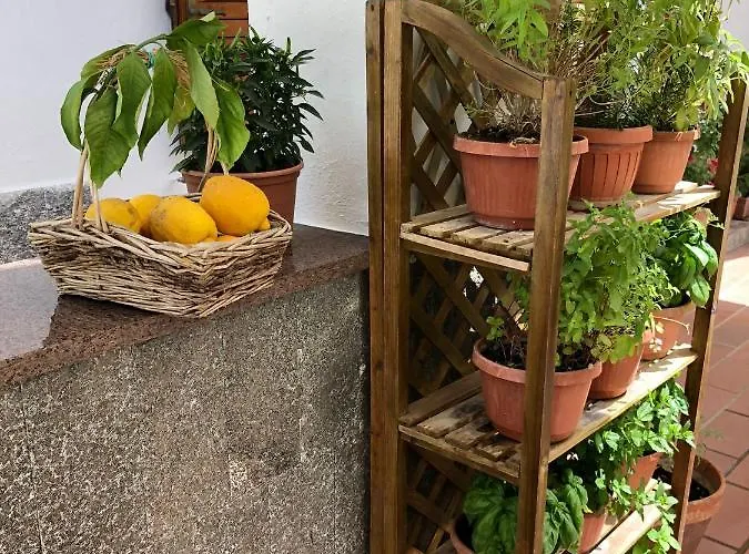 Oda ve Kahvaltı Anna Wunderbar