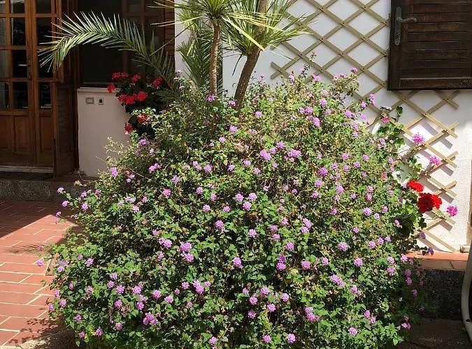 Anna Wunderbar 4* Casamicciola Terme