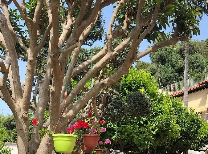 Anna Wunderbar Oda ve Kahvaltı