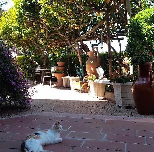 Oda ve Kahvaltı Anna Wunderbar