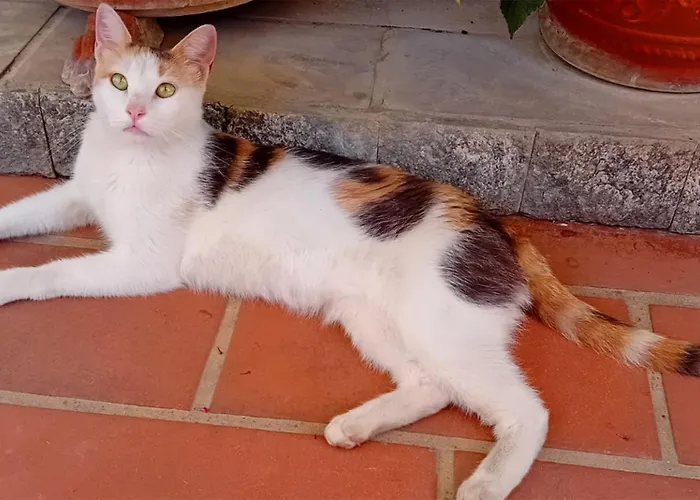 Anna Wunderbar Oda ve Kahvaltı